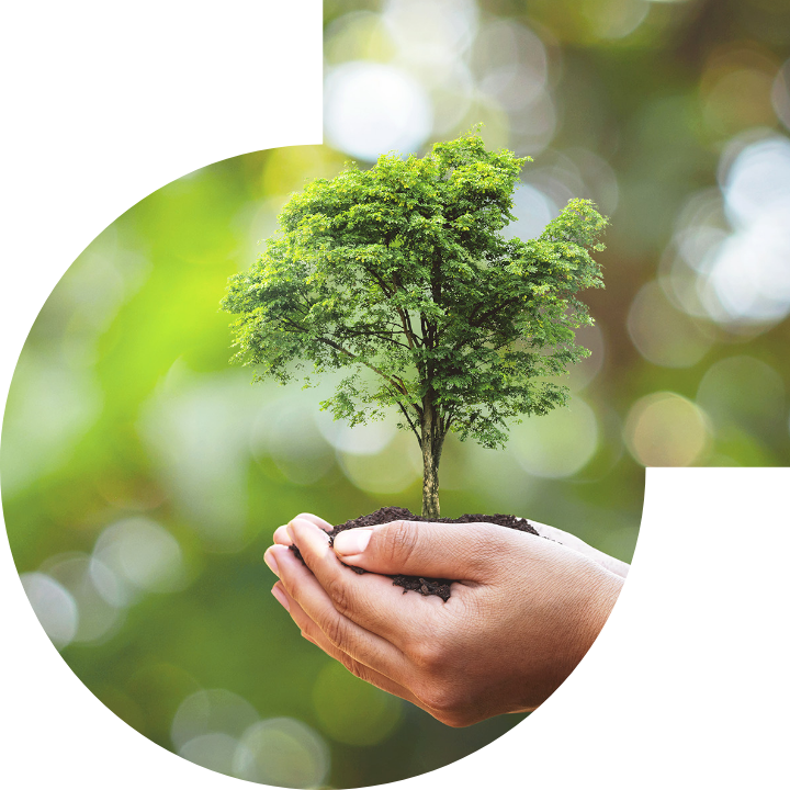 關懷人類、文化、環境與社會